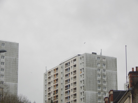 Bouygues Telecom
