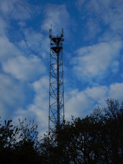 SFR