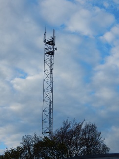 SFR