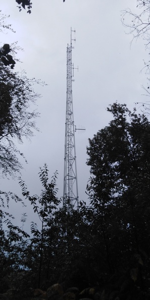 Site Towercast