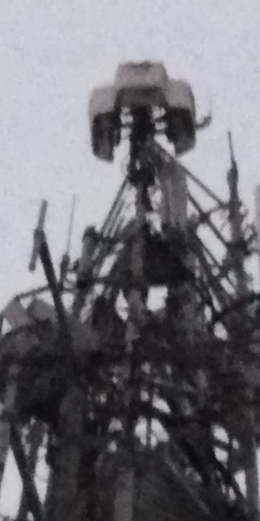 Site TDF
