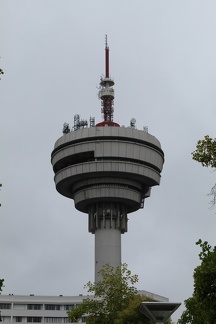 IMG 2532