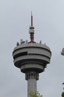 IMG 2533